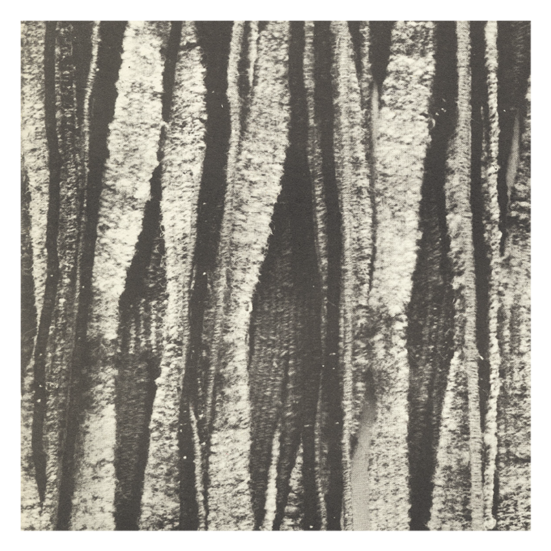 Muros tejidos · Olga de Amaral, 1970